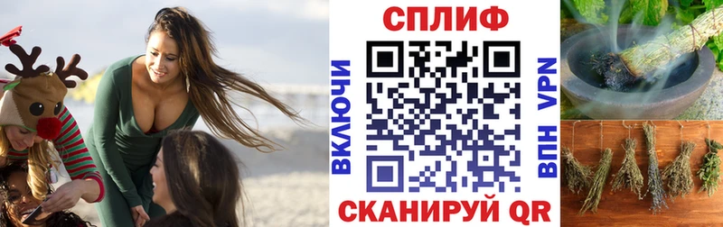Конопля планчик дарнет шоп Томилино